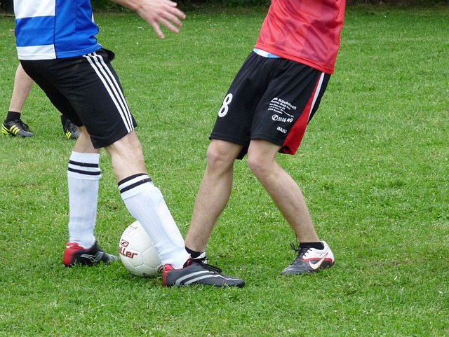 加盟湖人 加盟湖人