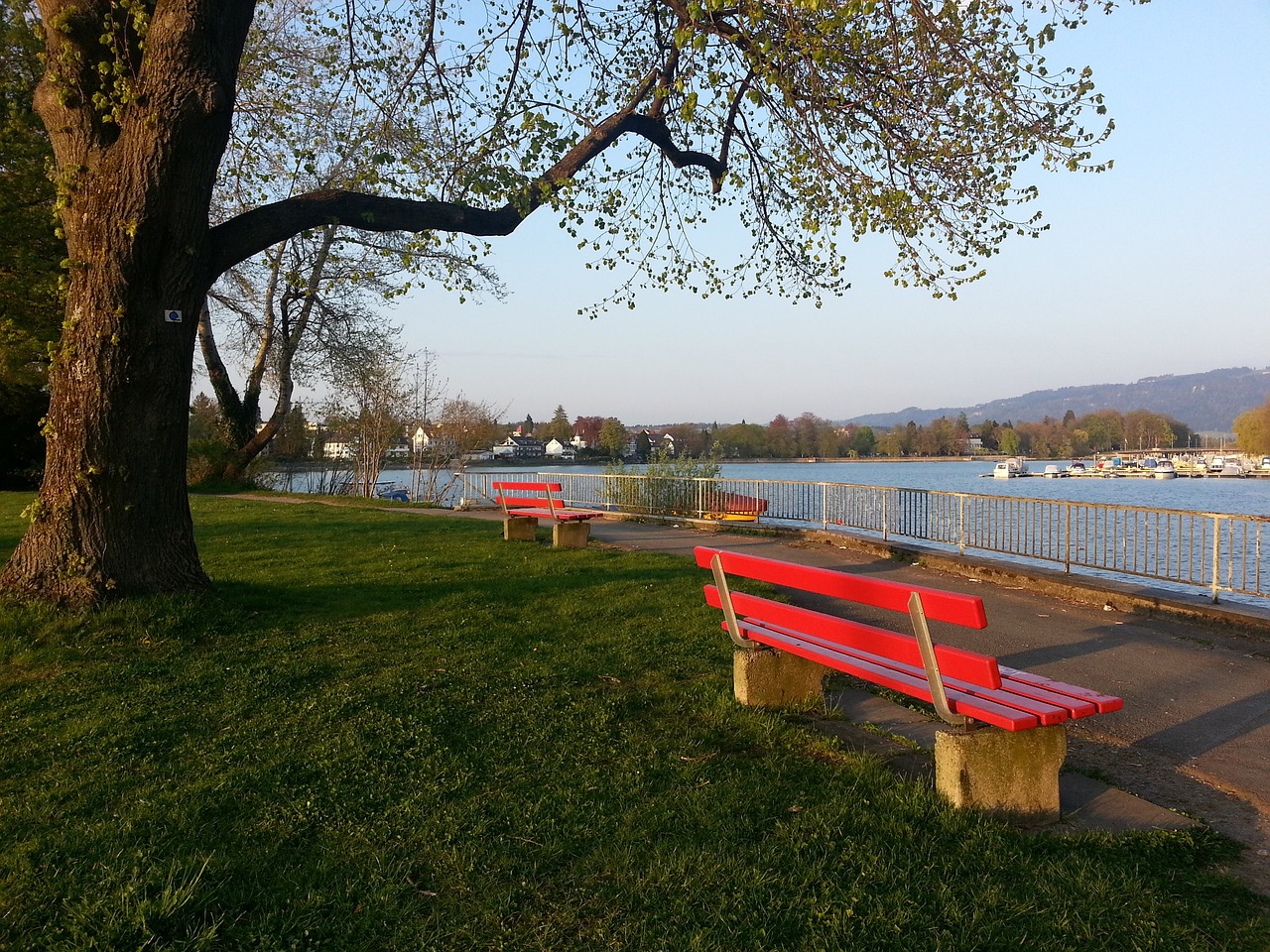 在地主观众 在地主观众